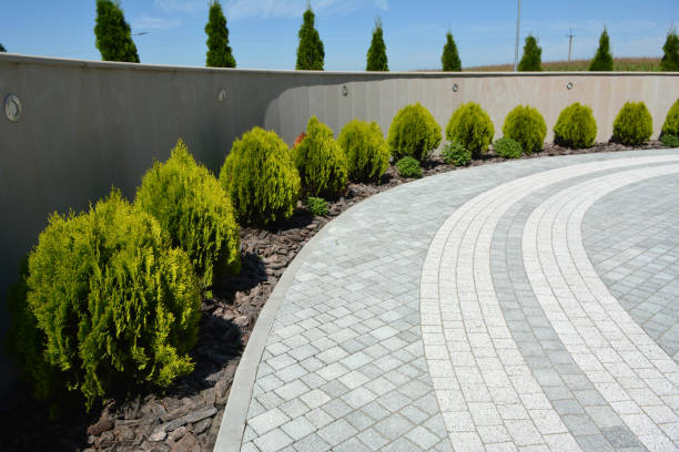 Best Driveway Repair Near Me  in Chehalis, WA